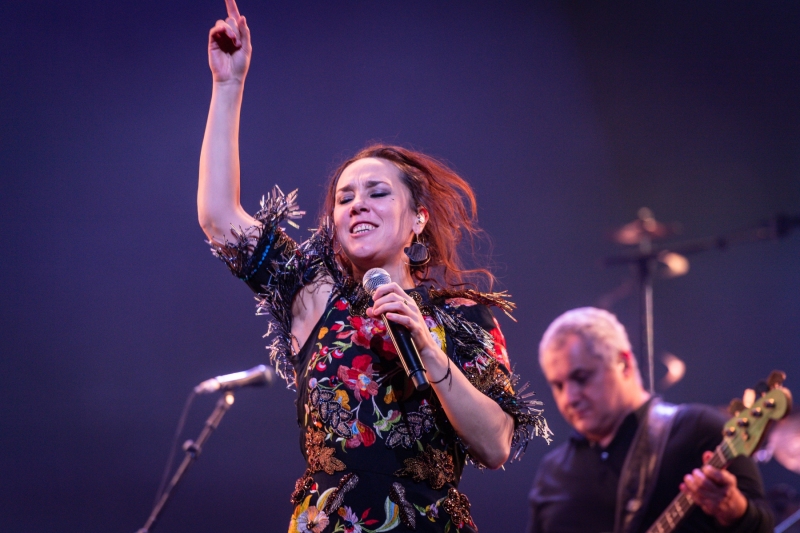zaz-1903190266