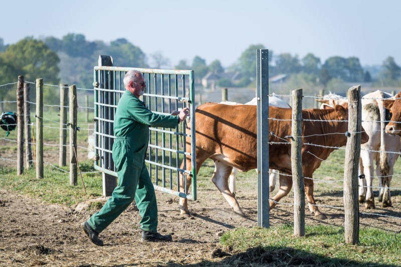 ferme-du-haut-gast_erbree-2704210018