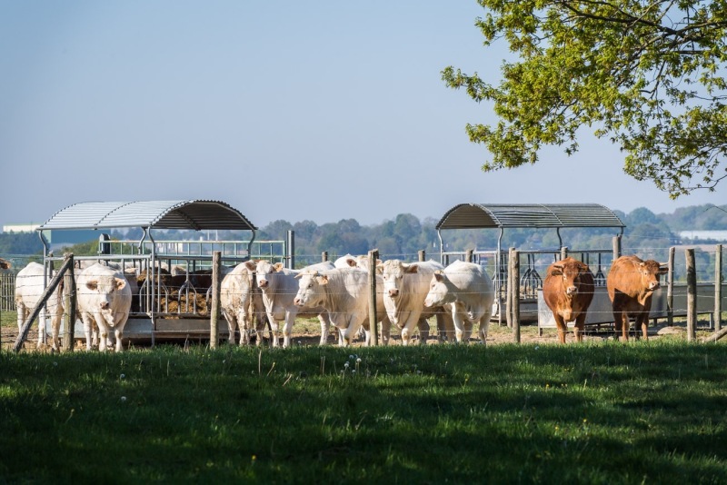 ferme-du-haut-gast_erbree-2704210107