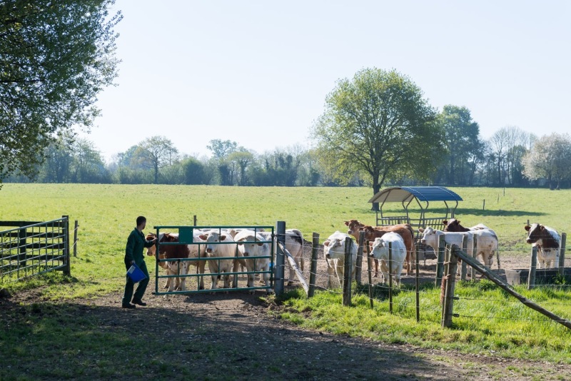 ferme-du-haut-gast_erbree-2704210123