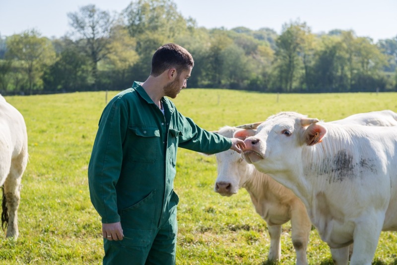 ferme-du-haut-gast_erbree-2704210169