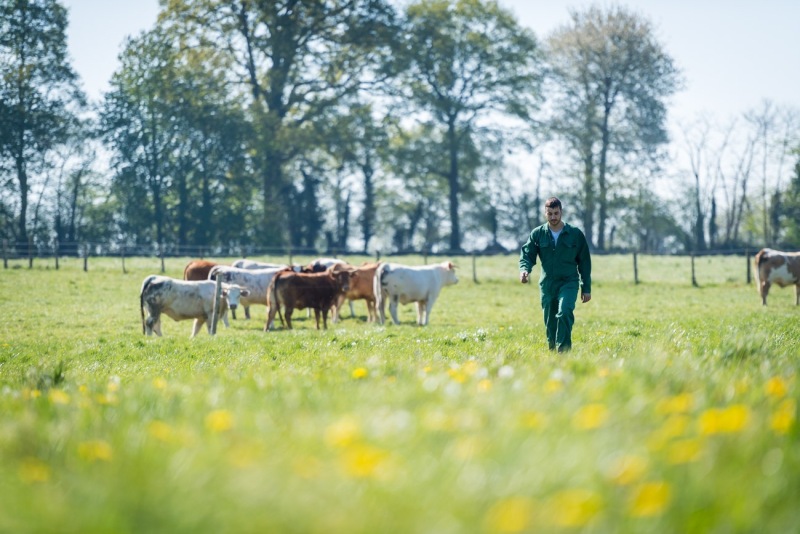 ferme-du-haut-gast_erbree-2704210177