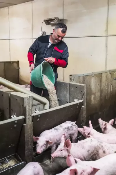 reportage_agriculture_grandlieuCC_12