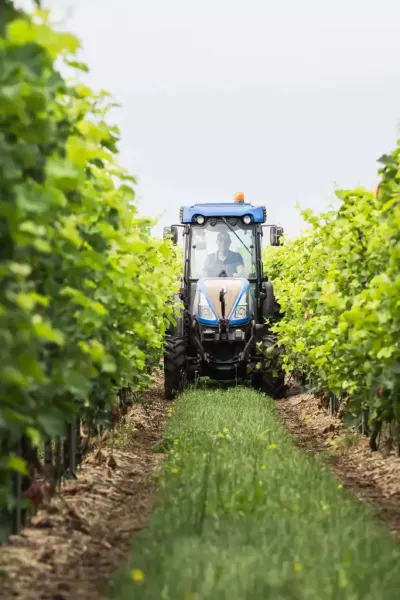 reportage_agriculture_grandlieuCC_14