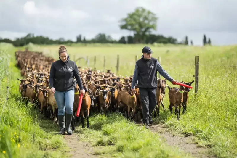 reportage_agriculture_grandlieuCC_3