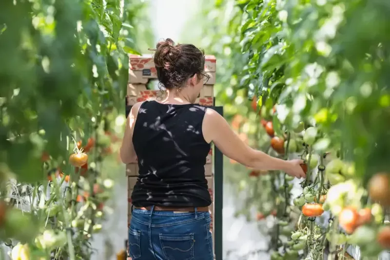 reportage_agriculture_grandlieuCC_9
