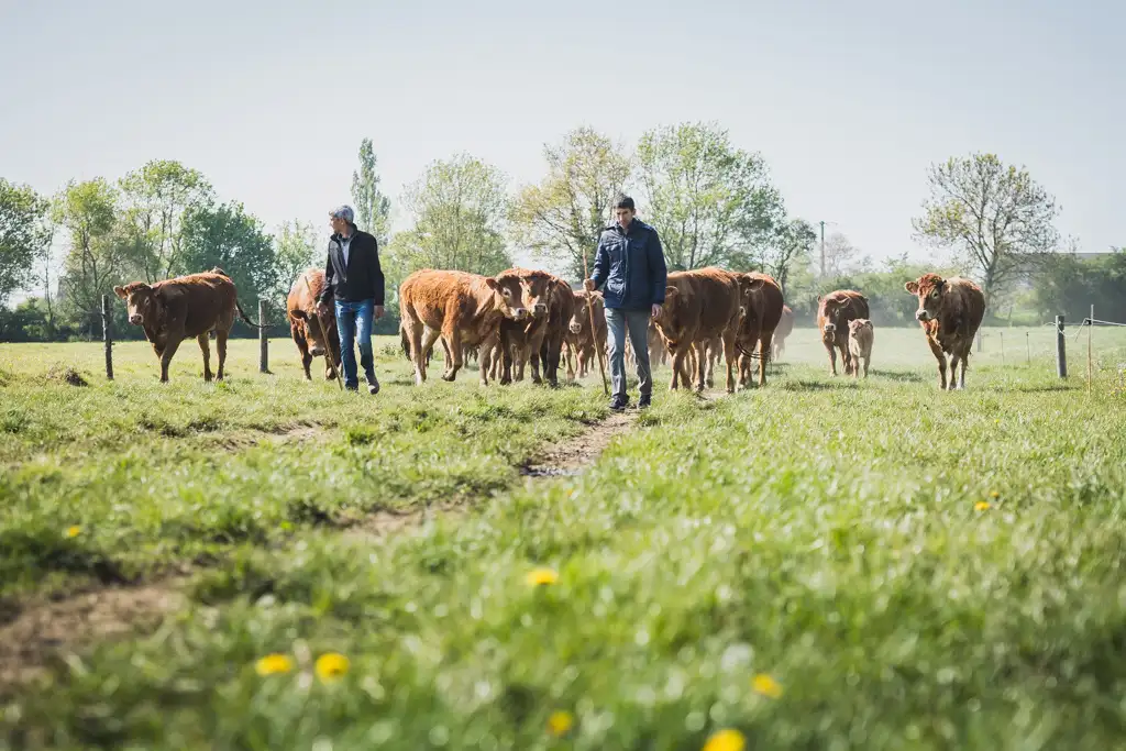 Reportage photo agricole