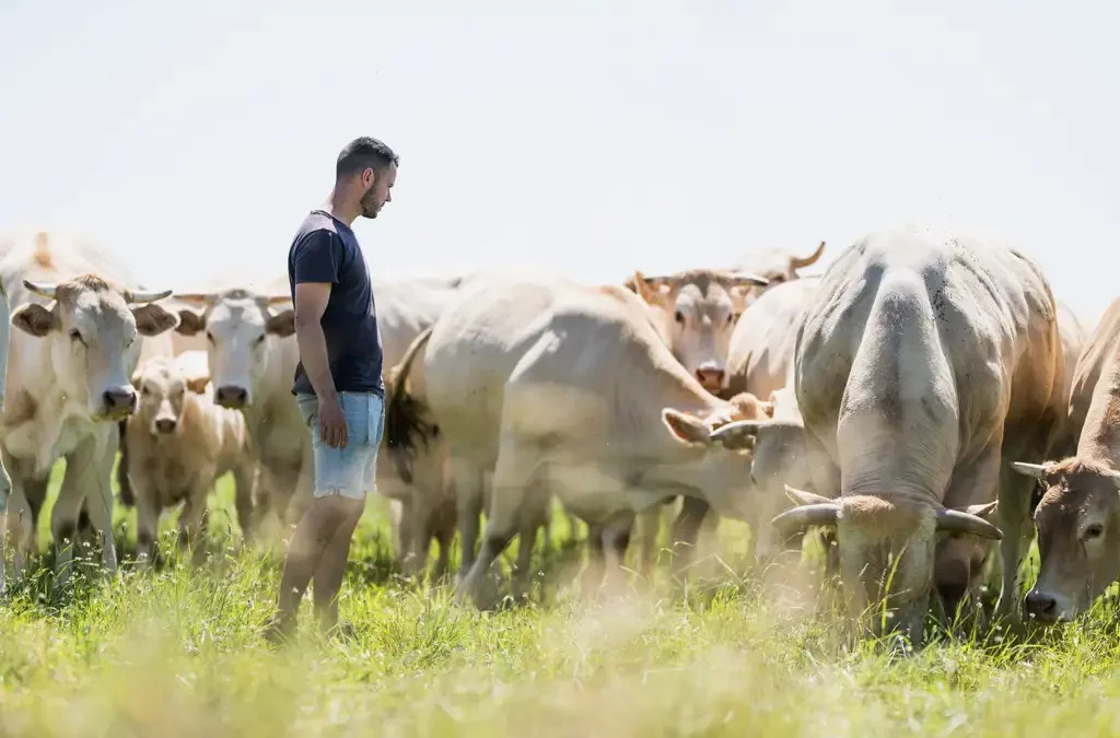 Reportage agriculture Communauté de Communes de Grand Lieu