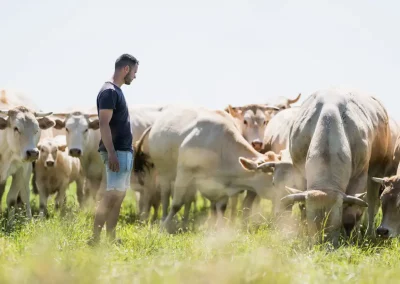 Reportage agriculture Communauté de Communes de Grand Lieu