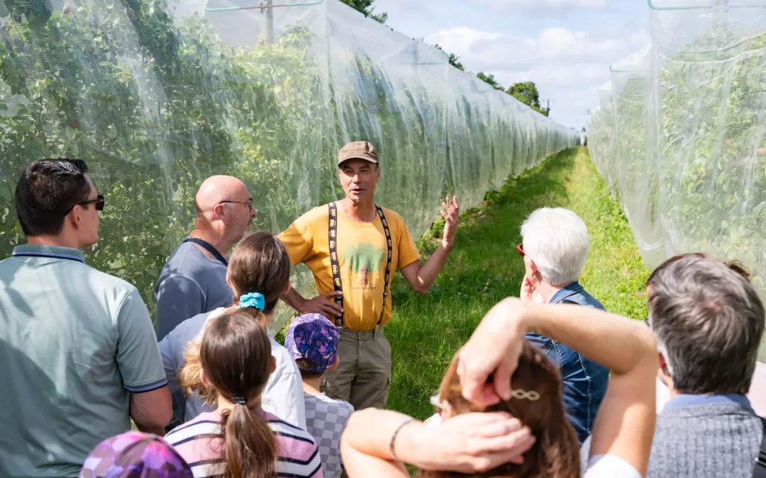 Reportage photo activité agricole