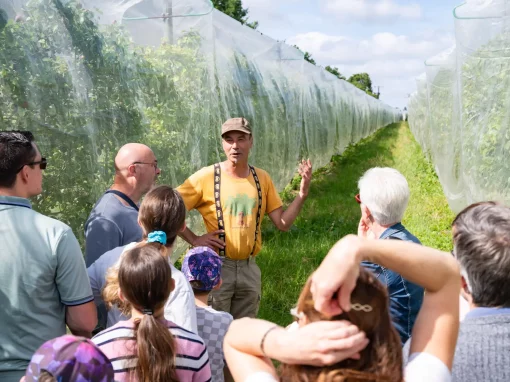 Reportage photo activité agricole